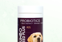 How Jumbo Feed Plus Can Help Keep Your Dog’s body condition & health Jumbo-Feed-Plus