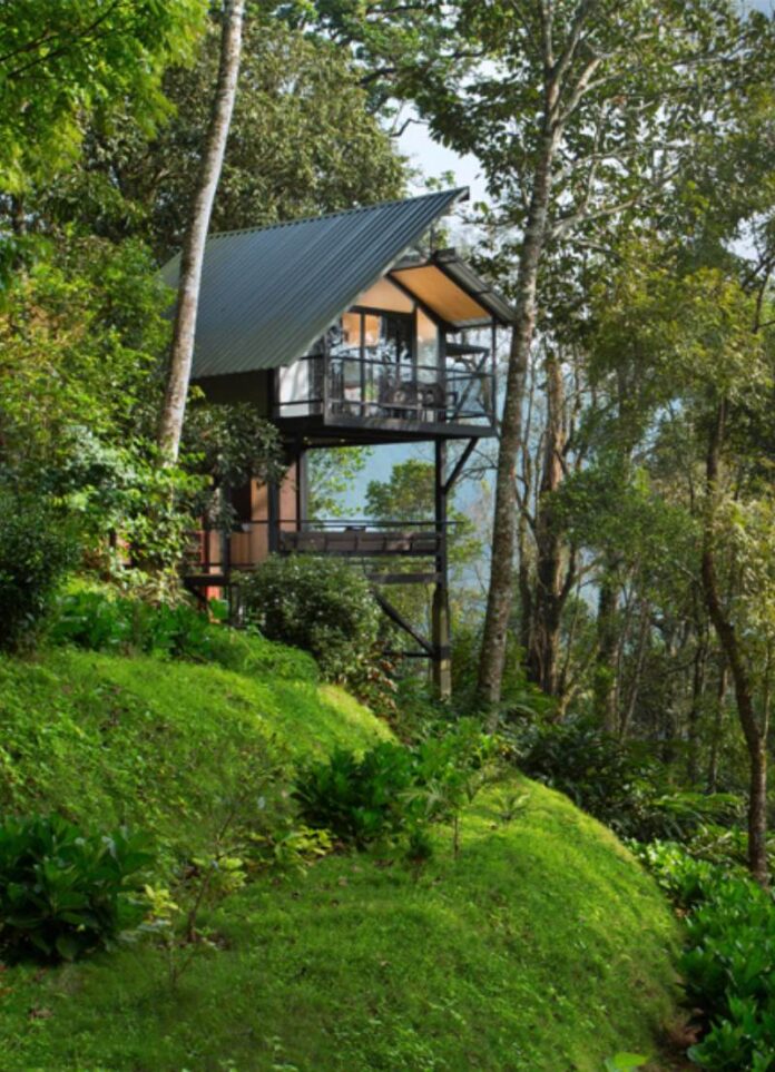 Best Tree House in Munnar