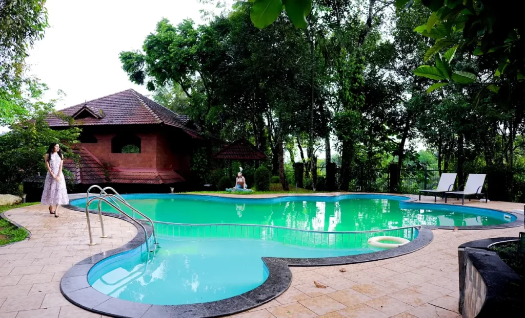 Luxury swimming pool surrounded by greenery at a resort in Wayanad.