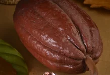 Best Dark Chocolate for Health Online – Benefits of Macofa Dark Chocolate