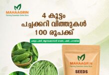 Grow Your Own Superfood: Buy Vegetable Seeds Online