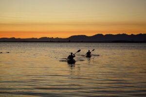 Sunset kayaking in Kochi backwaters with silhouetted paddlers against golden sky