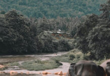 Explore Kerala’s Top Destinations with Travelnote Holidays