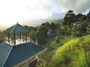 Beautiful location in Munnar with lush green hills surrounding Southern Panorama Indriya resort, offering scenic valley views and peaceful natural surroundings.