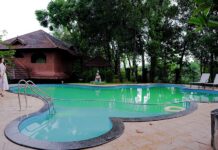 Best Wayanad Packages for Nature & Luxury Stays