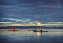 Kayaking in Kochi: Explore the Hidden Backwaters of Kadamakkudy