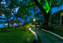 Ayurveda Resort in Alleppey: Relax Amidst Nature at Warmth Lake Haven