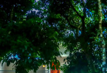 Winternote Munnar – Experience Comfort at One of the Munnar Best Resorts