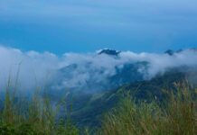 Best Resorts in Vagamon for a Luxurious and Memorable Stay