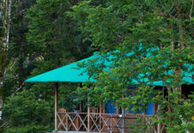 Dream Catcher Resort Munnar: A Visual Guide to Your Stay