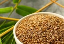 Bamboo Rice vs White Rice: Healthier Daily Rice, Now on Sale at Kerala Naturals