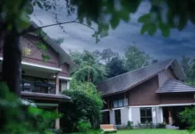 Best Resorts in Wayanad with Private Pool: Why Morickap Resort Is a Top Pick
